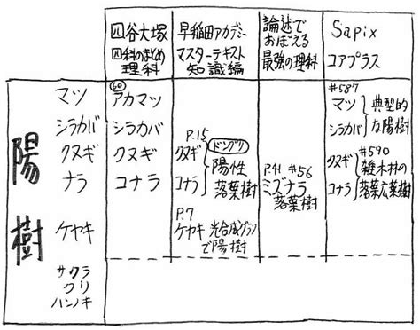 陰陽木|陰樹の特徴と陽樹の特徴 違いも解説 – 庭師の独り言